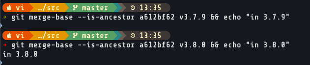 Finding git commit version tag